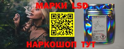 spice Тула
