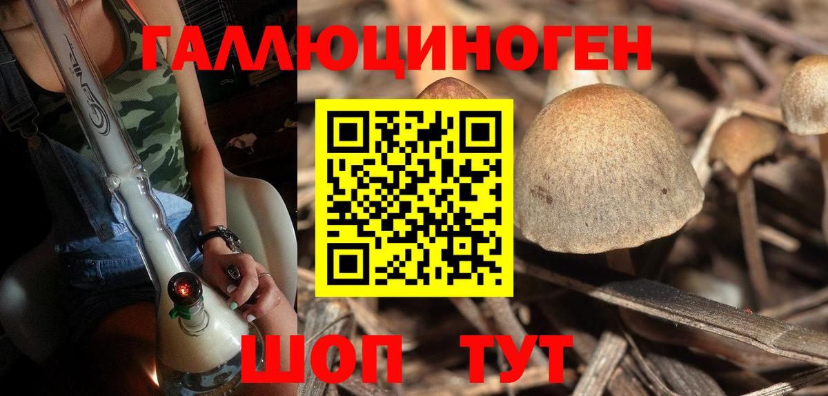 наркота  Вход с VPN  Муравленко  Галлюциногенные грибы прущие грибы 