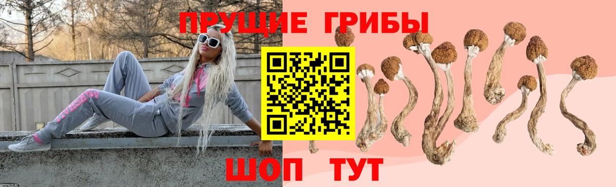 Псилоцибиновые грибы мицелий Муравленко